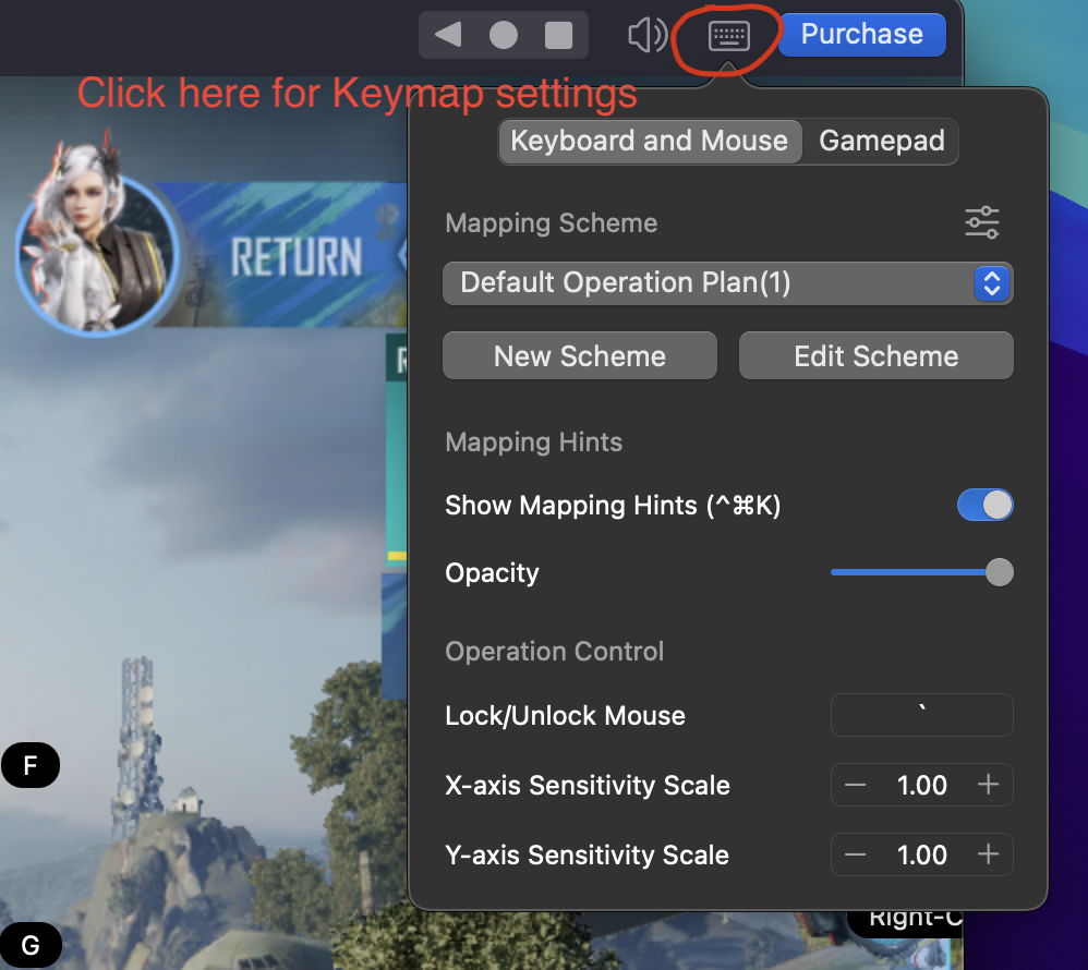 Access-the Key-Mapping-Setting